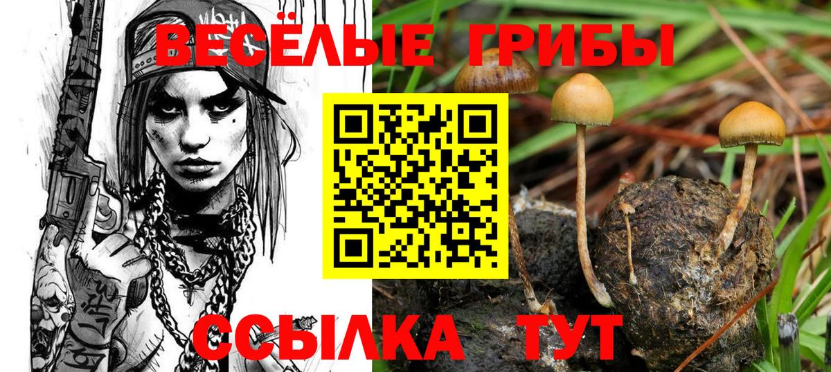 Ноябрьск  хочу   Вход с VPN  Псилоцибиновые грибы мухоморы  Галлюциногенные грибы мицелий 